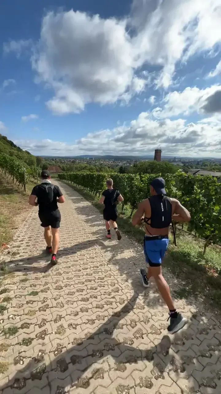 Sezer läuft allein durch die Weinberge